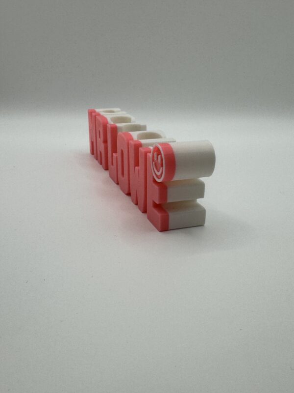 ✏️ Custom 3D Print Name Pen Holder – Dual-Colour Desk Organizer with Fun Design - Image 4