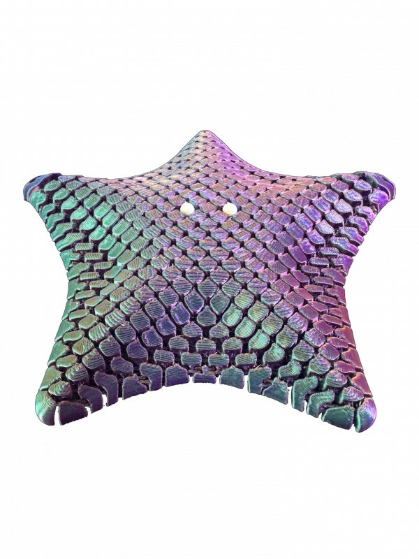 3D Articulated Starfish – Lifelike Ocean-Inspired Model - Image 2