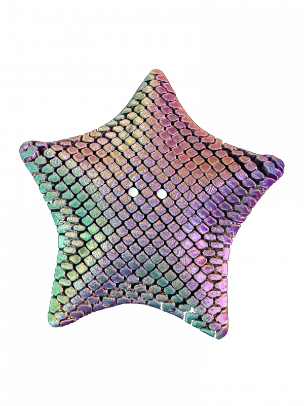 3D Articulated Starfish – Lifelike Ocean-Inspired Model - Image 4