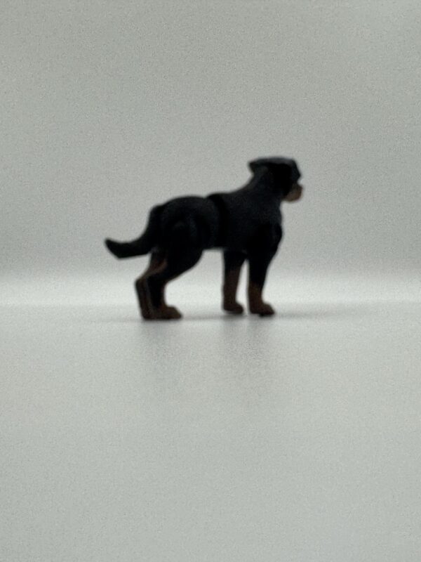 Rottweiler 3D Articulated Figurine – Powerful Solid Colour Dog Sculpture - Image 4