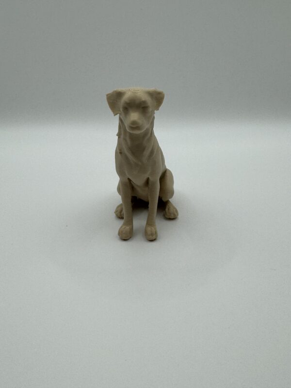 ? 3D Australian Shepherd Dog Figurine – Custom Collectible Gift for Dog Lovers - Image 2