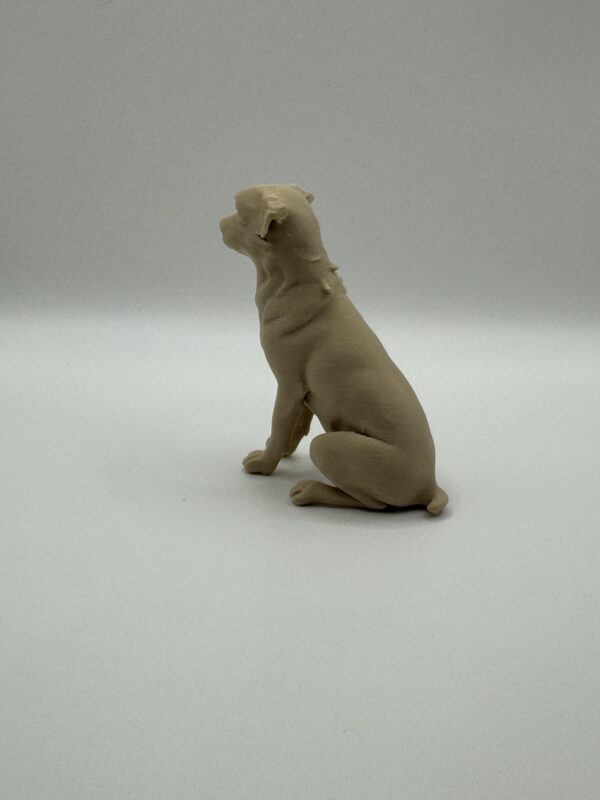 ? 3D Australian Shepherd Dog Figurine – Custom Collectible Gift for Dog Lovers - Image 4