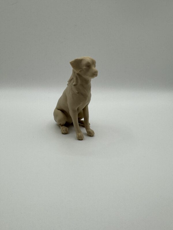 ? 3D Australian Shepherd Dog Figurine – Custom Collectible Gift for Dog Lovers - Image 7