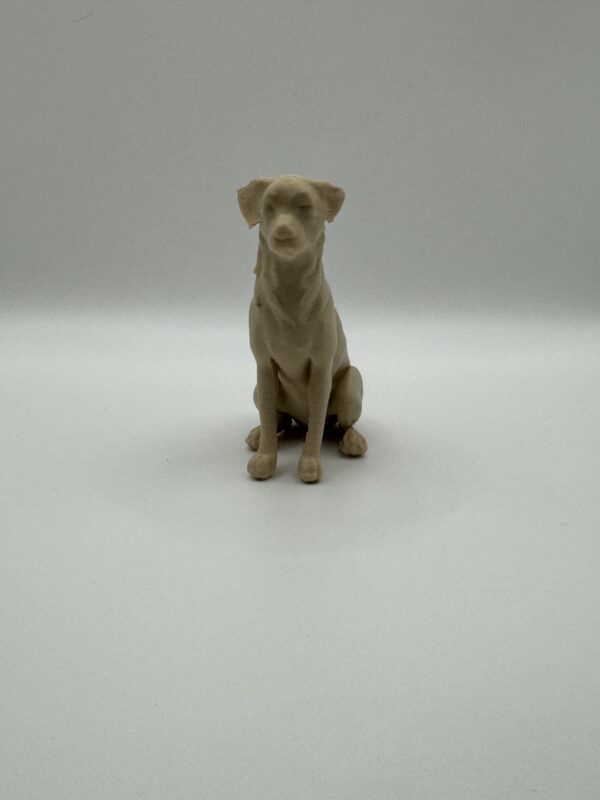 ? 3D Australian Shepherd Dog Figurine – Custom Collectible Gift for Dog Lovers - Image 8