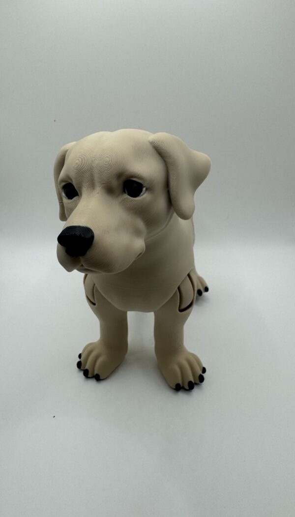 ? Articulated 3D Labrador Dog – Poseable Collectible Model for Pet Lovers - Image 5