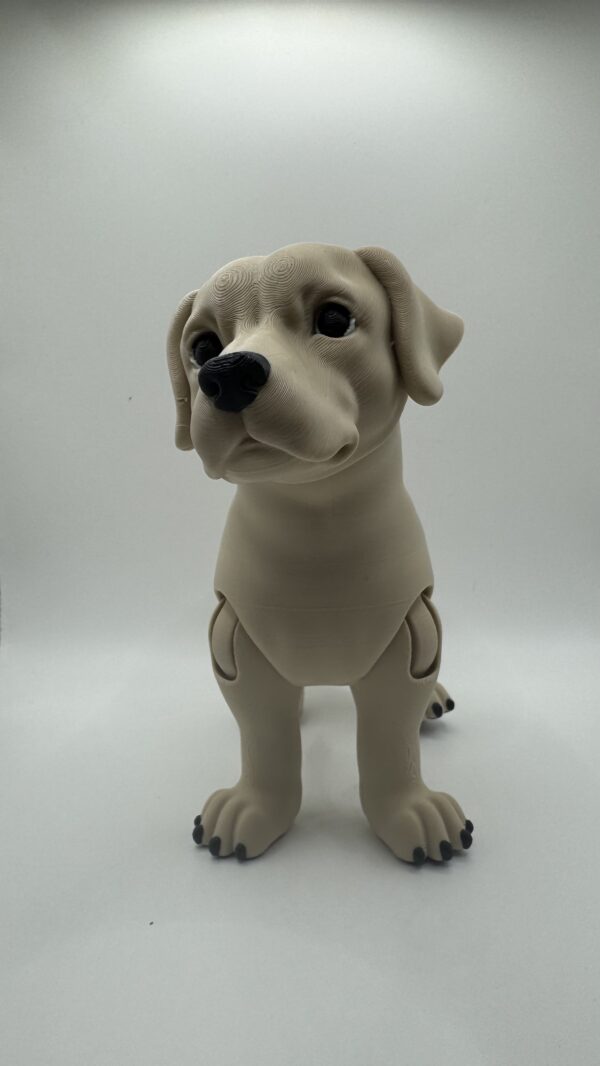 ? Articulated 3D Labrador Dog – Poseable Collectible Model for Pet Lovers - Image 6