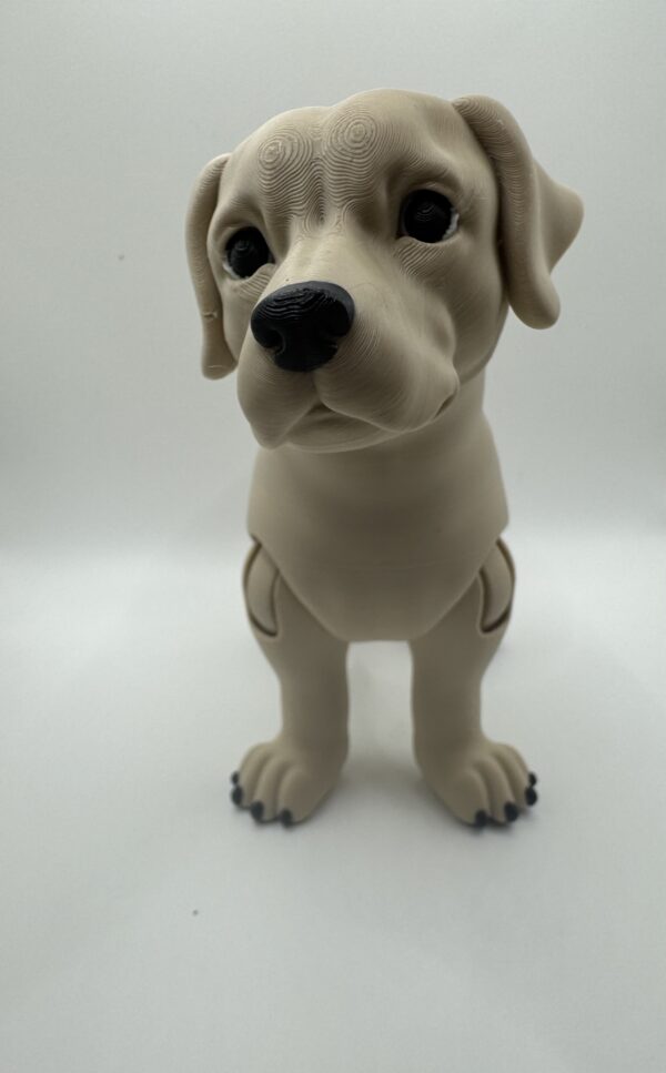 ? Articulated 3D Labrador Dog – Poseable Collectible Model for Pet Lovers - Image 7