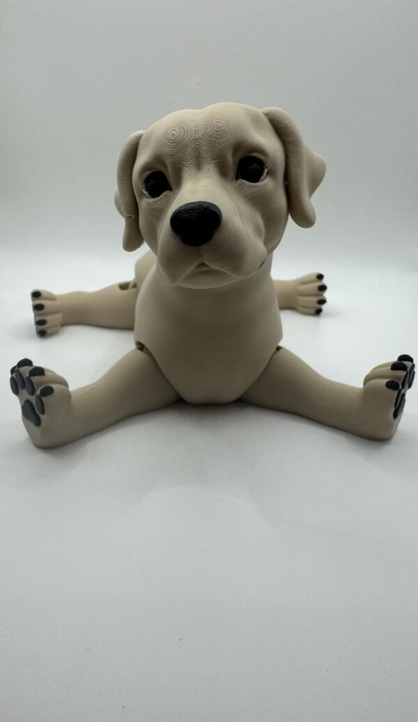 ? Articulated 3D Labrador Dog – Poseable Collectible Model for Pet Lovers - Image 8