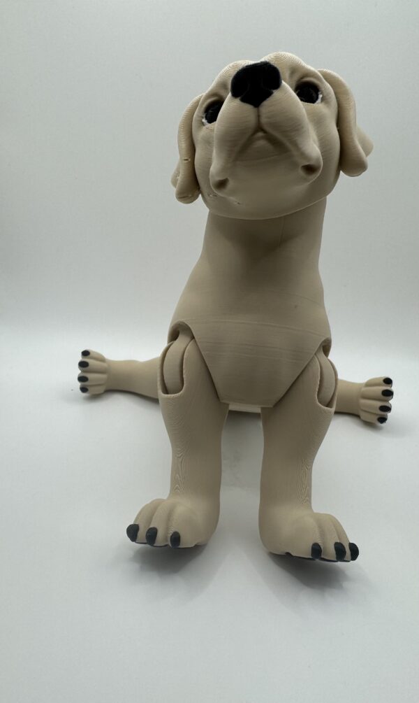 ? Articulated 3D Labrador Dog – Poseable Collectible Model for Pet Lovers - Image 9