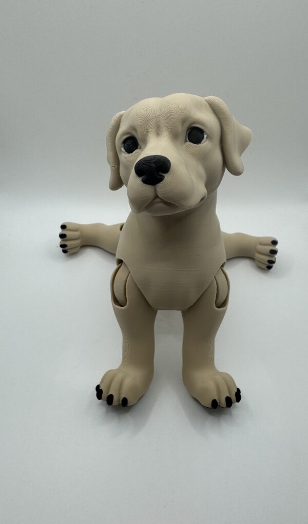 ? Articulated 3D Labrador Dog – Poseable Collectible Model for Pet Lovers - Image 10