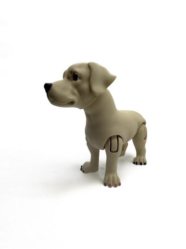 ? Articulated 3D Labrador Dog – Poseable Collectible Model for Pet Lovers - Image 4