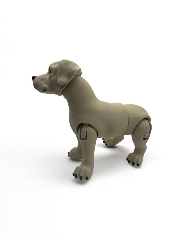 ? Articulated 3D Labrador Dog – Poseable Collectible Model for Pet Lovers - Image 2