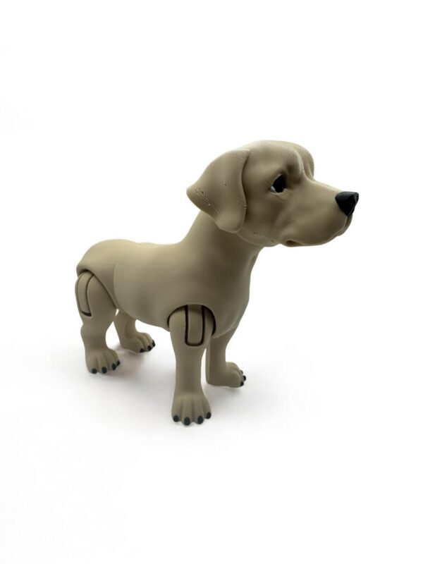 ? Articulated 3D Labrador Dog – Poseable Collectible Model for Pet Lovers - Image 3