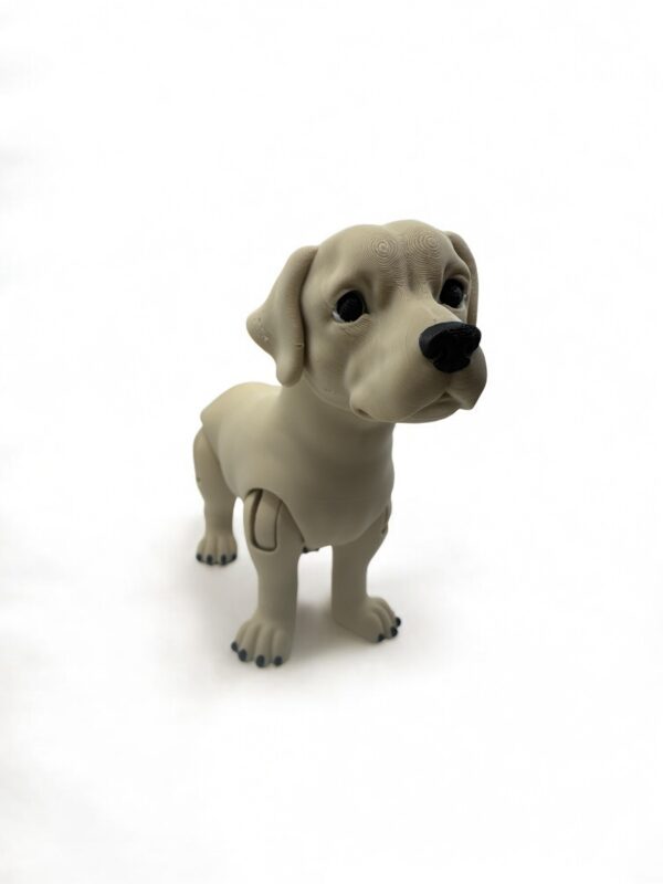 ? Articulated 3D Labrador Dog – Poseable Collectible Model for Pet Lovers
